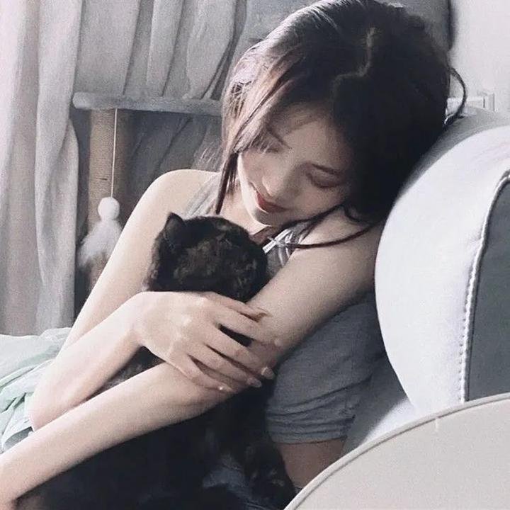 情寻猫脚印